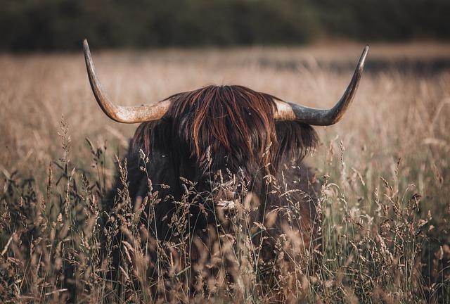 Jak vybrat vhodnou lokalitu⁤ pro ‍svatbu na Vysočině