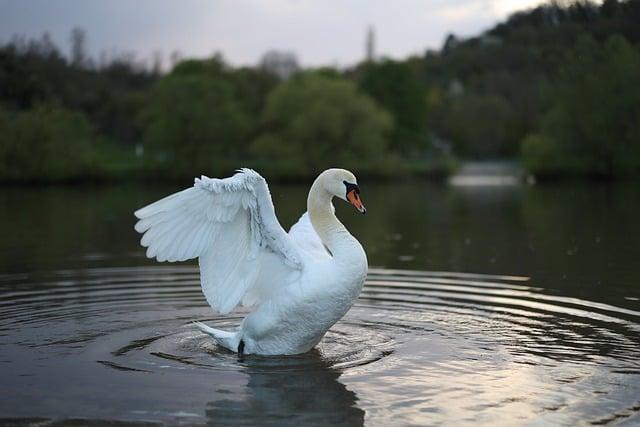 Tipy, jak vybrat ideální místo pro focení před obřadem